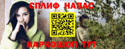 ECSTASY Кингисепп