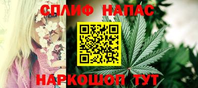 ECSTASY Кингисепп