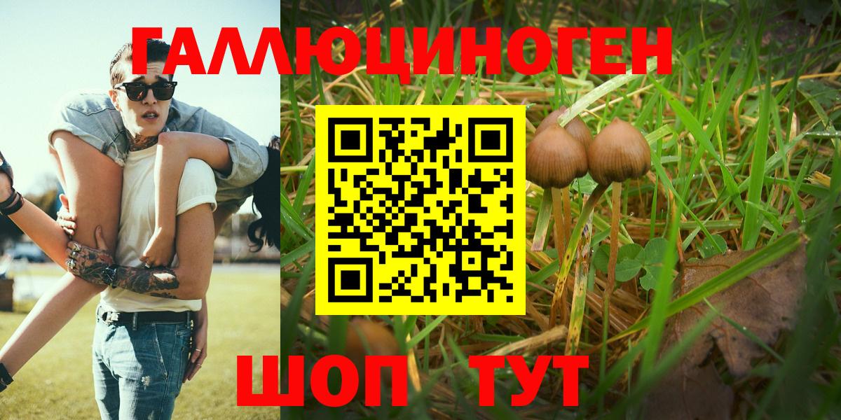 Галлюциногенные грибы Cubensis  Псилоцибиновые грибы MAGIC MUSHROOMS  Вход с VPN  Крымск 